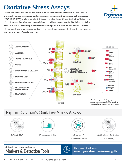 Oxidative Stress Assays<br>